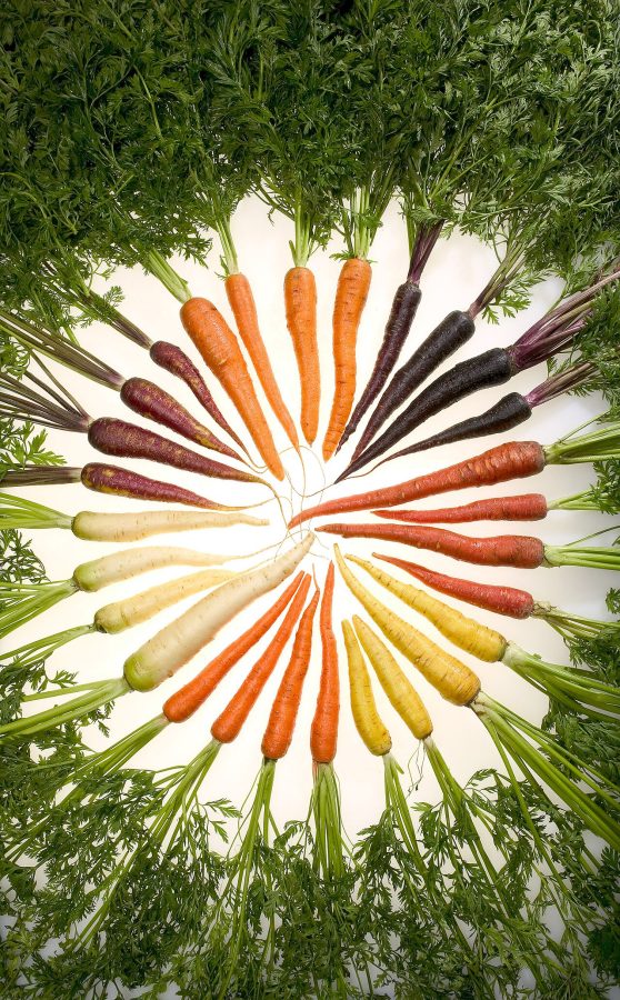 Carrot