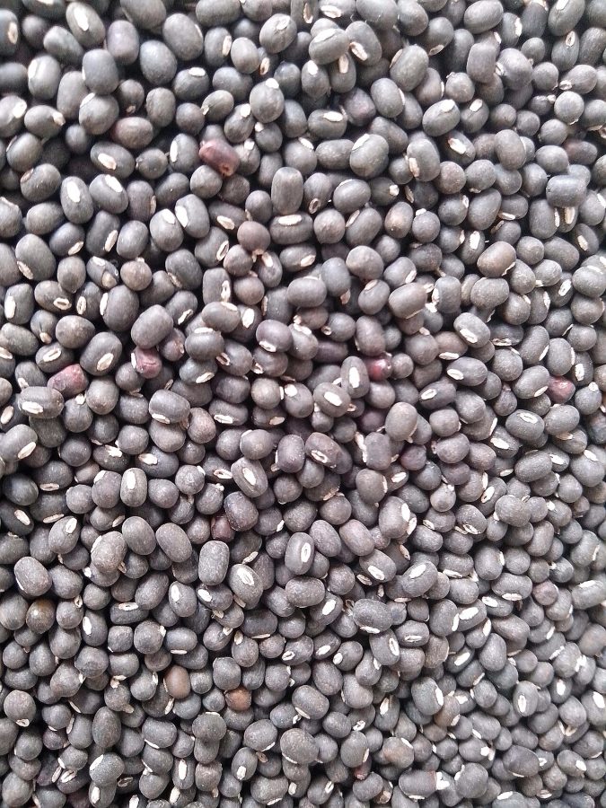 Urad Dal