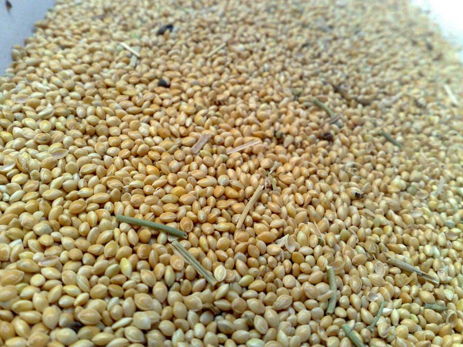 Organic Millets Mix